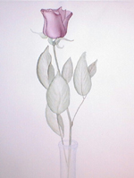 rose